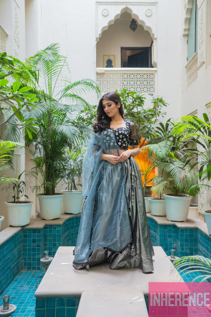 Black Shimmer Lehenga (full blouse)