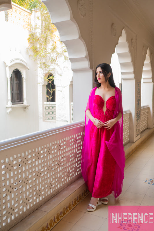 Pink Velvet Dress with removable sleeves